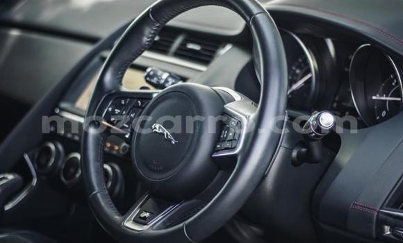 Tenga Tsaru Jaguar E-Pace Nhema Mota in Maputo in Maputo Tenga Tsaru Jaguar E-Pace Nhema Mota in Maputo in Maputo