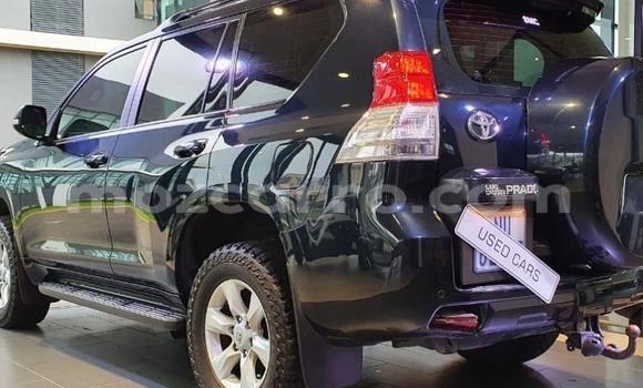 Tenga Tsaru Toyota Land Cruiser Prado Bhuruu Mota in Maputo in Maputo Tenga Tsaru Toyota Land Cruiser Prado Bhuruu Mota in Maputo in Maputo