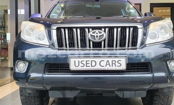 Tenga Tsaru Toyota Land Cruiser Prado Bhuruu Mota in Maputo in Maputo Tenga Tsaru Toyota Land Cruiser Prado Bhuruu Mota in Maputo in Maputo