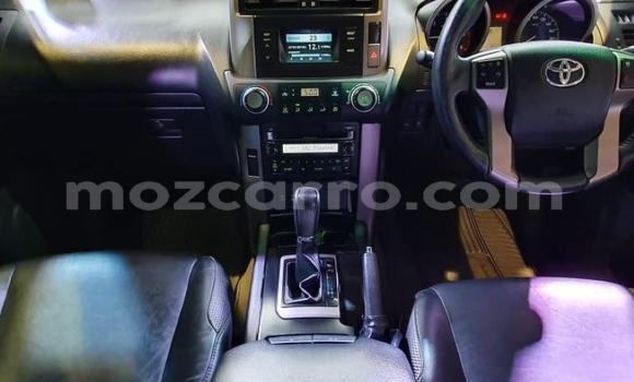 Tenga Tsaru Toyota Land Cruiser Prado Bhuruu Mota in Maputo in Maputo Tenga Tsaru Toyota Land Cruiser Prado Bhuruu Mota in Maputo in Maputo