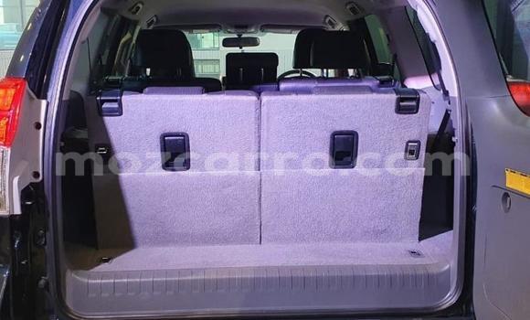 Tenga Tsaru Toyota Land Cruiser Prado Bhuruu Mota in Maputo in Maputo Tenga Tsaru Toyota Land Cruiser Prado Bhuruu Mota in Maputo in Maputo