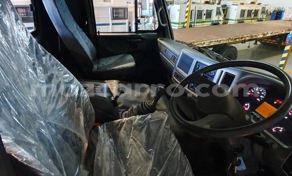 Comprar Usado Hino 300 Series Branco Caminhão em Maputo em Maputo Comprar Usado Hino 300 Series Branco Caminhão em Maputo em Maputo