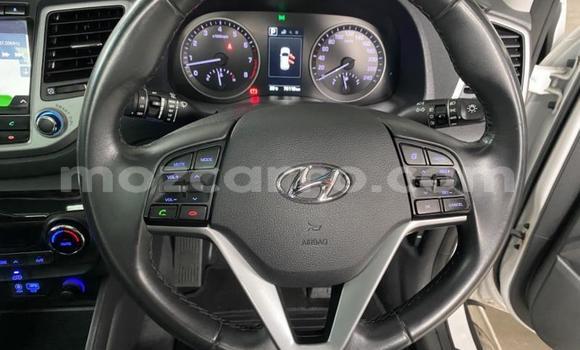 Buy Used Hyundai Tucson White Car in Gilé in Zambezia Buy Used Hyundai Tucson White Car in Gilé in Zambezia