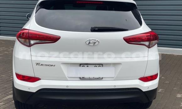 Buy Used Hyundai Tucson White Car in Gilé in Zambezia Buy Used Hyundai Tucson White Car in Gilé in Zambezia
