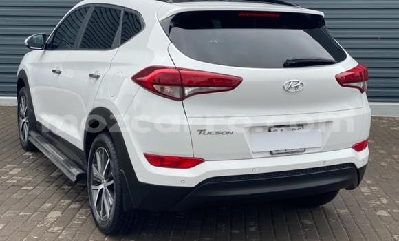 Buy Used Hyundai Tucson White Car in Gilé in Zambezia Buy Used Hyundai Tucson White Car in Gilé in Zambezia
