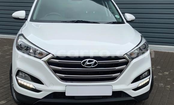 Buy Used Hyundai Tucson White Car in Gilé in Zambezia Buy Used Hyundai Tucson White Car in Gilé in Zambezia