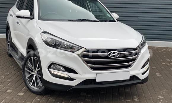 Buy Used Hyundai Tucson White Car in Gilé in Zambezia Buy Used Hyundai Tucson White Car in Gilé in Zambezia