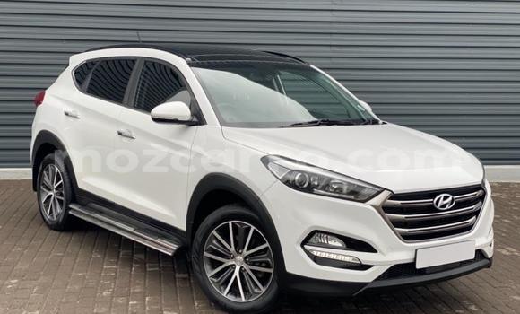 Buy Used Hyundai Tucson White Car in Gilé in Zambezia Buy Used Hyundai Tucson White Car in Gilé in Zambezia