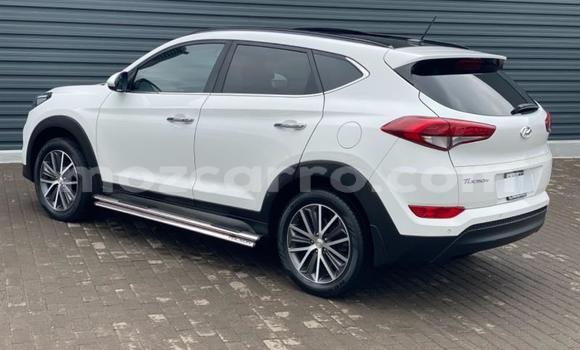 Buy Used Hyundai Tucson White Car in Gilé in Zambezia Buy Used Hyundai Tucson White Car in Gilé in Zambezia