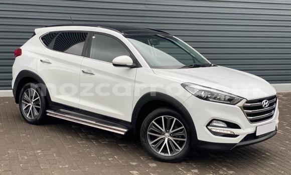 Buy Used Hyundai Tucson White Car in Gilé in Zambezia Buy Used Hyundai Tucson White Car in Gilé in Zambezia