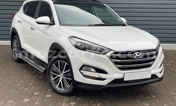 Buy Used Hyundai Tucson White Car in Gilé in Zambezia Buy Used Hyundai Tucson White Car in Gilé in Zambezia
