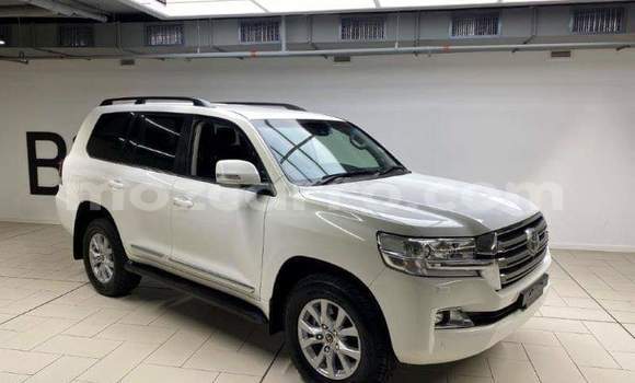 Buy Used Toyota Land Cruiser Red Car in Gilé in Zambezia