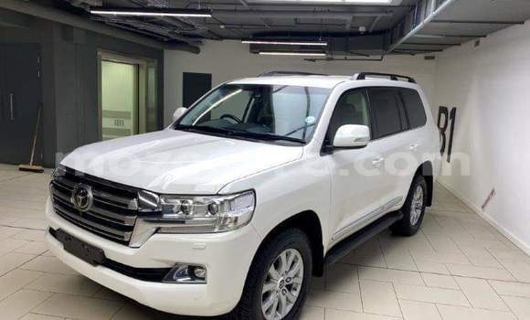 Buy Used Toyota Land Cruiser Red Car in Gilé in Zambezia Buy Used Toyota Land Cruiser Red Car in Gilé in Zambezia