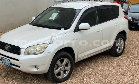 Comprar Novo Toyota RAV4 Branco Carro em Maputo em Maputo Comprar Novo Toyota RAV4 Branco Carro em Maputo em Maputo