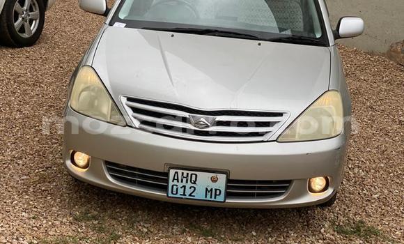 Buy New Toyota Allion Silver Car in Maputo in Maputo