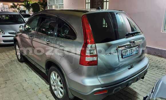 Comprar Novo Honda CR-V Prata Carro em Maputo em Maputo