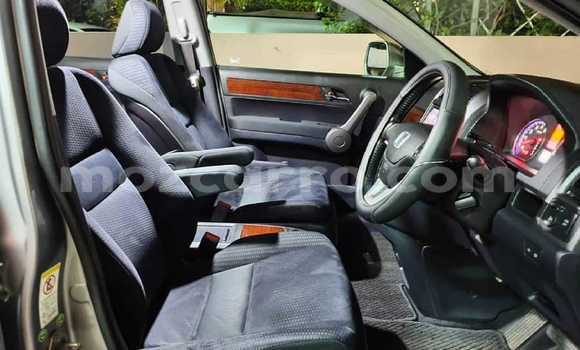 Comprar Novo Honda CR-V Prata Carro em Maputo em Maputo Comprar Novo Honda CR-V Prata Carro em Maputo em Maputo