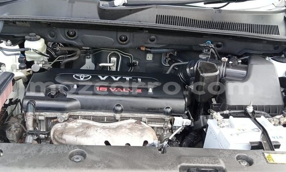 Comprar Novo Toyota RAV4 Branco Carro em Maputo em Maputo Comprar Novo Toyota RAV4 Branco Carro em Maputo em Maputo