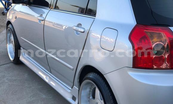 Comprar Usado Toyota Runx Prata Carro em Maputo em Maputo Comprar Usado Toyota Runx Prata Carro em Maputo em Maputo