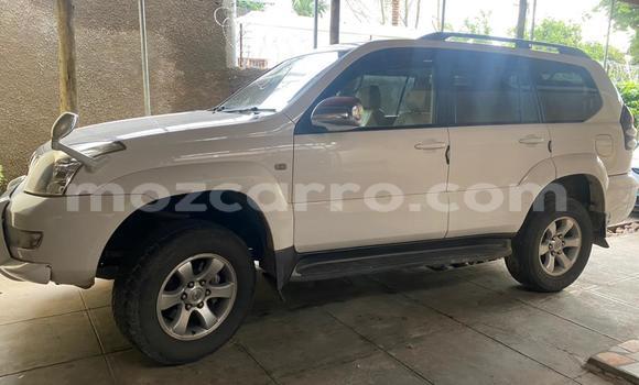 Comprar Usado Toyota Prado Branco Carro em Maputo em Maputo Comprar Usado Toyota Prado Branco Carro em Maputo em Maputo