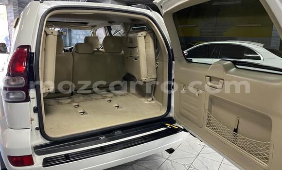 Comprar Usado Toyota Prado Branco Carro em Maputo em Maputo Comprar Usado Toyota Prado Branco Carro em Maputo em Maputo