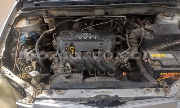 Comprar Usado Toyota Runx Prata Carro em Ancuabe em Cabo Delgado Comprar Usado Toyota Runx Prata Carro em Ancuabe em Cabo Delgado