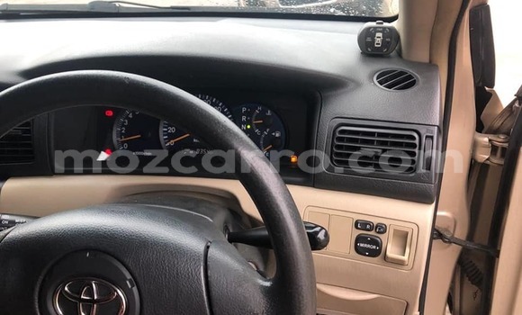 Comprar Usado Toyota Runx Bege Carro em Ancuabe em Cabo Delgado Comprar Usado Toyota Runx Bege Carro em Ancuabe em Cabo Delgado