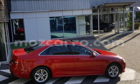Comprar Usado Audi A4 Vermelho Carro em Maputo em Maputo Comprar Usado Audi A4 Vermelho Carro em Maputo em Maputo