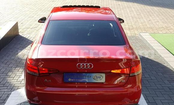 Comprar Usado Audi A4 Vermelho Carro em Maputo em Maputo Comprar Usado Audi A4 Vermelho Carro em Maputo em Maputo