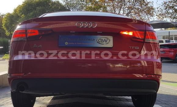 Comprar Usado Audi A4 Vermelho Carro em Maputo em Maputo Comprar Usado Audi A4 Vermelho Carro em Maputo em Maputo