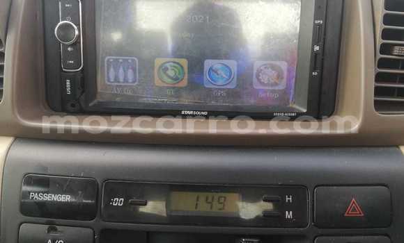 Tenga Tsaru Toyota Pickup Chena Mota in Maputo in Maputo Tenga Tsaru Toyota Pickup Chena Mota in Maputo in Maputo