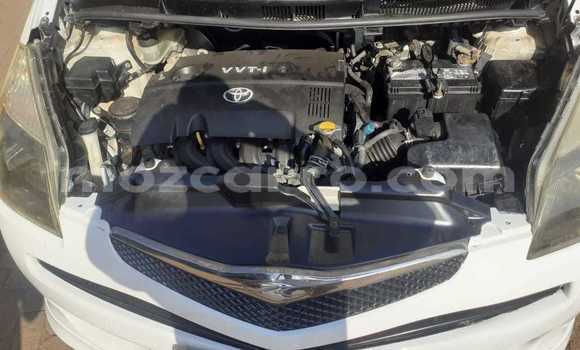 Buy Used Toyota Ractis White Car in Maputo in Maputo