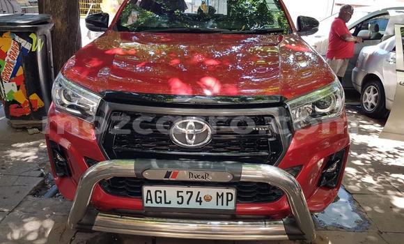 Buy Used Toyota REVO CAB Z-EDITION Red Car in Maputo in Maputo