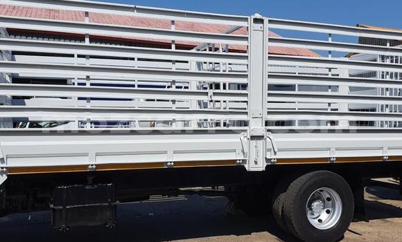 Comprar Usado Isuzu FTR 850 Branco Caminhão em Maputo em Maputo Comprar Usado Isuzu FTR 850 Branco Caminhão em Maputo em Maputo