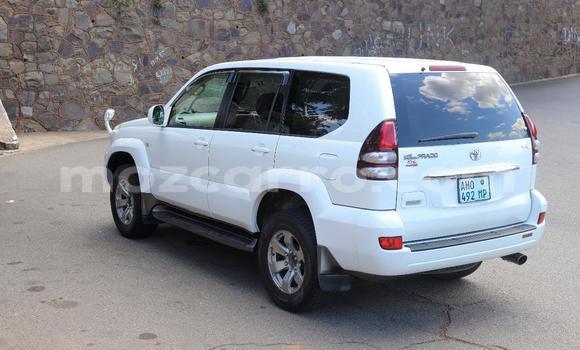 Comprar Novo Toyota Land Cruiser Prado Branco Carro em Maputo em Maputo Comprar Novo Toyota Land Cruiser Prado Branco Carro em Maputo em Maputo