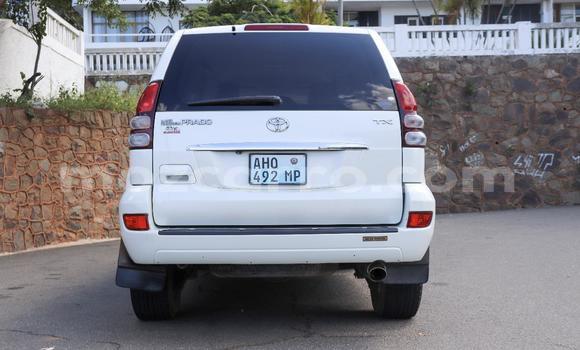 Comprar Novo Toyota Land Cruiser Prado Branco Carro em Maputo em Maputo Comprar Novo Toyota Land Cruiser Prado Branco Carro em Maputo em Maputo