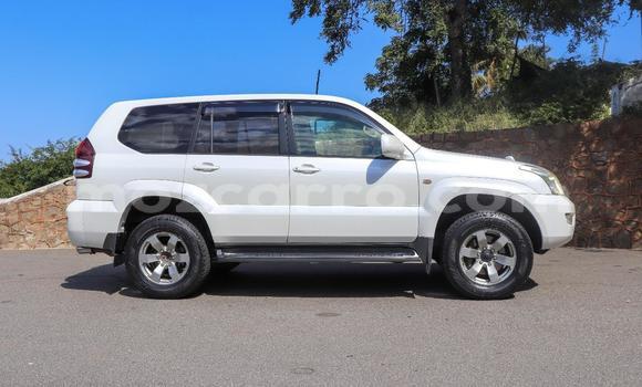 Comprar Novo Toyota Land Cruiser Prado Branco Carro em Maputo em Maputo Comprar Novo Toyota Land Cruiser Prado Branco Carro em Maputo em Maputo