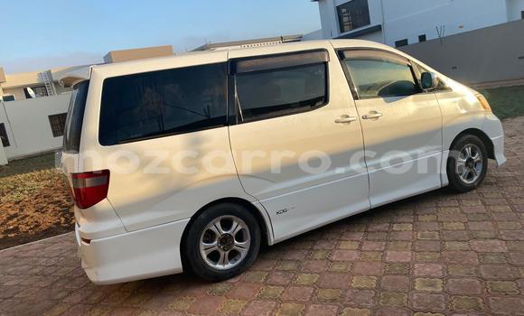 Comprar Usado Toyota Alphard Branco Carro em Maputo em Maputo Comprar Usado Toyota Alphard Branco Carro em Maputo em Maputo