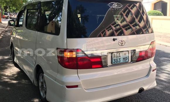 Comprar Usado Toyota Alphard Branco Carro em Maputo em Maputo Comprar Usado Toyota Alphard Branco Carro em Maputo em Maputo