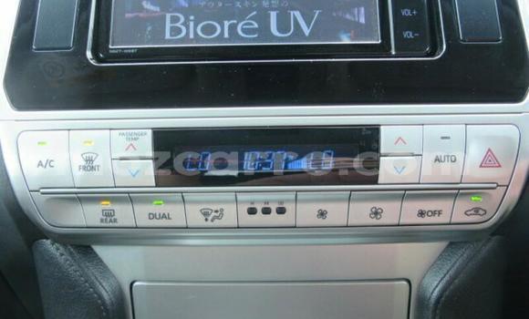 Tenga Imported Toyota Land Cruiser Prado Zvimwe Mota in Maputo in Maputo Tenga Imported Toyota Land Cruiser Prado Zvimwe Mota in Maputo in Maputo