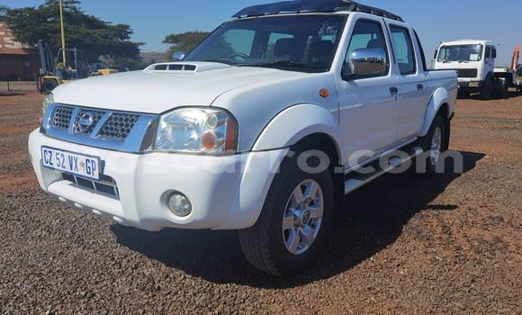 Comprar Usado Nissan NP 300 Branco Carro em Chemba em Sofala