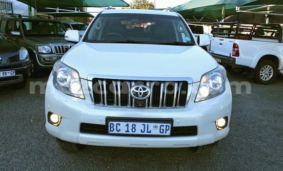 Tenga Tsaru Toyota Prado Chena Mota in Cuamba in Niassa