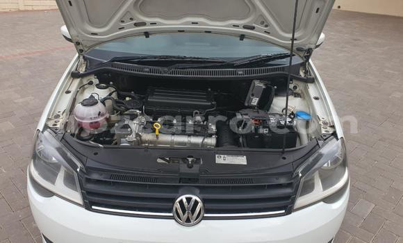 Tenga Tsaru Volkswagen Polo Chena Mota in Mocambique in Nampula Tenga Tsaru Volkswagen Polo Chena Mota in Mocambique in Nampula