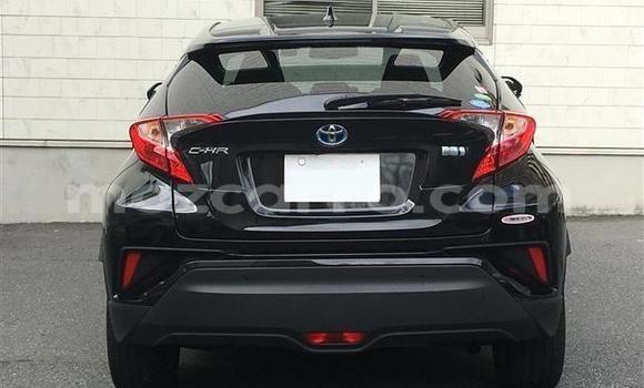 Comprar Importar Toyota C-HR Preto Carro em Mabalane em Gaza Comprar Importar Toyota C-HR Preto Carro em Mabalane em Gaza
