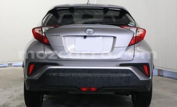 Buy Import Toyota C-HR Other Car in Maputo in Maputo Buy Import Toyota C-HR Other Car in Maputo in Maputo