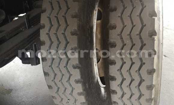 Tenga Tsaru Isuzu FTR 850 Chena Rori in Boane in Maputo Tenga Tsaru Isuzu FTR 850 Chena Rori in Boane in Maputo