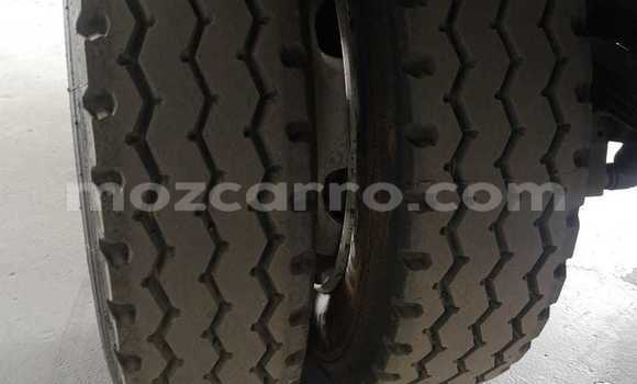 Tenga Tsaru Isuzu FTR 850 Chena Rori in Boane in Maputo Tenga Tsaru Isuzu FTR 850 Chena Rori in Boane in Maputo