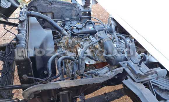 Tenga Tsaru Toyota Dyna Chena Rori in Caia in Sofala Tenga Tsaru Toyota Dyna Chena Rori in Caia in Sofala