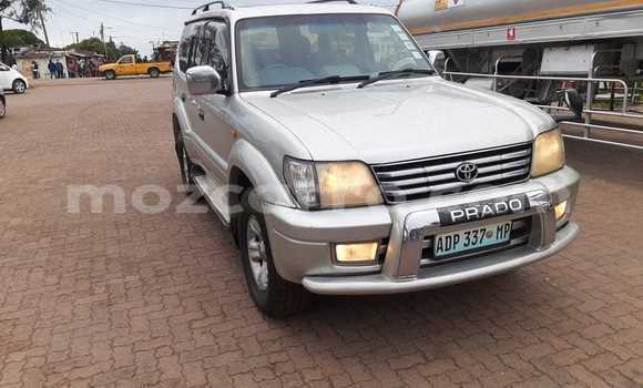 Buy Used Toyota Land Cruiser Prado White Car in Maputo in Maputo Buy Used Toyota Land Cruiser Prado White Car in Maputo in Maputo