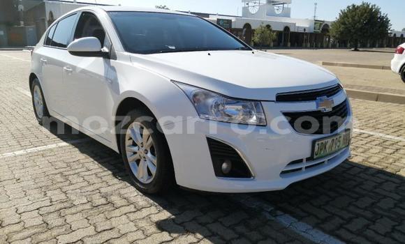 Tenga Tsaru Chevrolet Cruze Sirivha Mota in Maputo in Maputo Tenga Tsaru Chevrolet Cruze Sirivha Mota in Maputo in Maputo